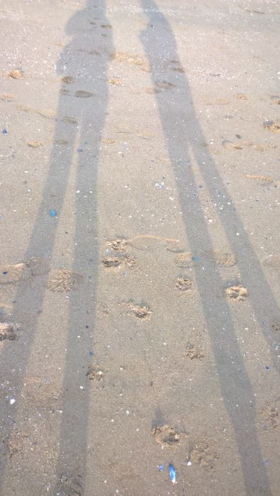 Our Shadows Our Shadows